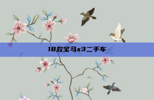 18款宝马x3二手车