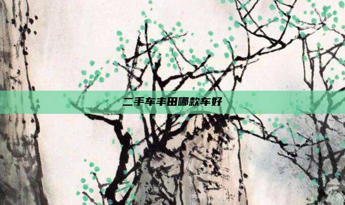 二手车丰田哪款车好