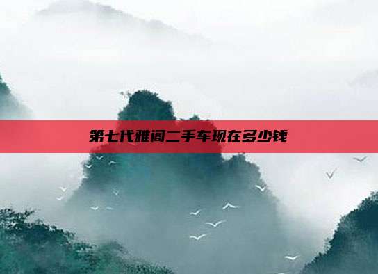 第七代雅阁二手车现在多少钱