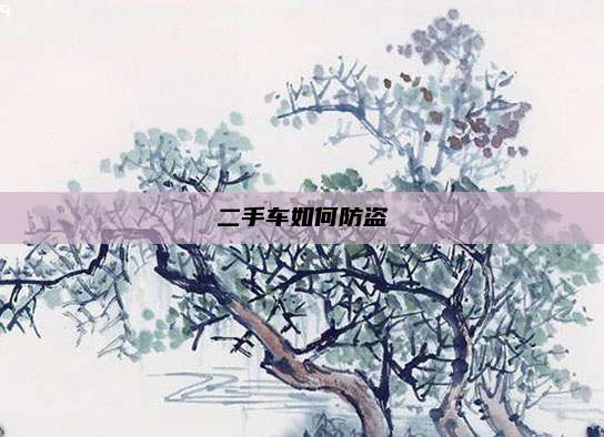 二手车如何防盗