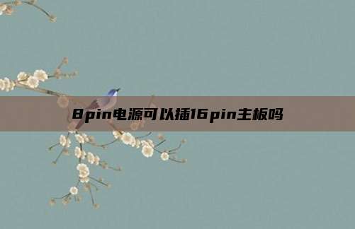 8pin电源可以插16pin主板吗