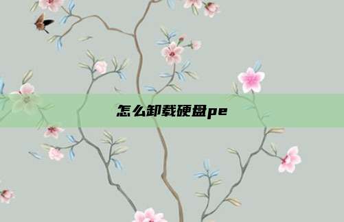 怎么卸载硬盘pe