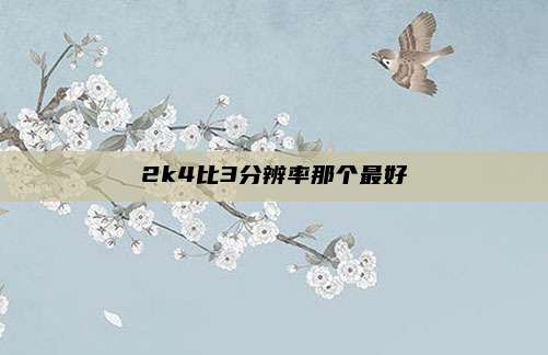 2k4比3分辨率那个最好