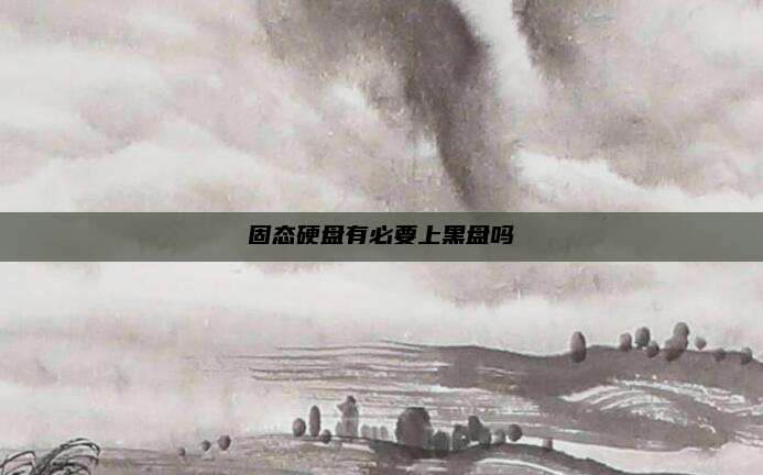 固态硬盘有必要上黑盘吗