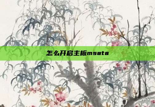 怎么开启主板msata
