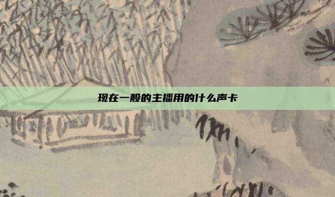 现在一般的主播用的什么声卡