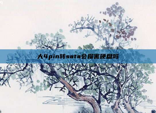 大4pin转sata会损害硬盘吗