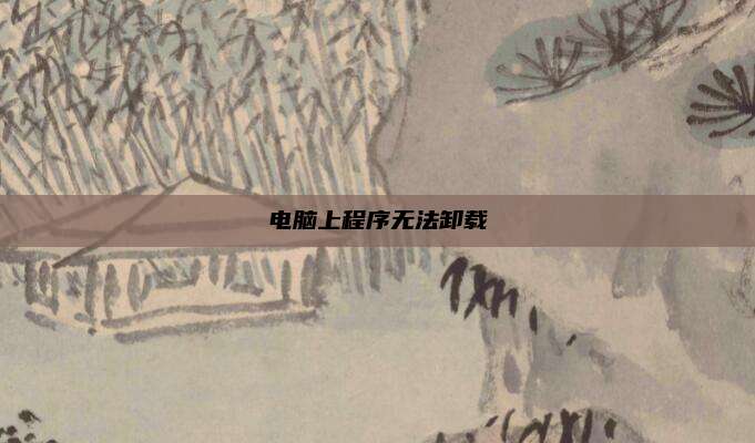 电脑上程序无法卸载