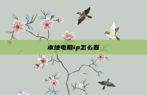 本地电脑ip怎么看