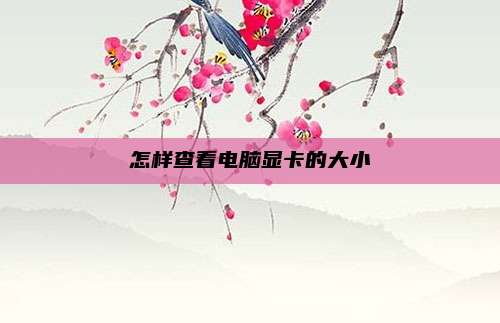 怎样查看电脑显卡的大小