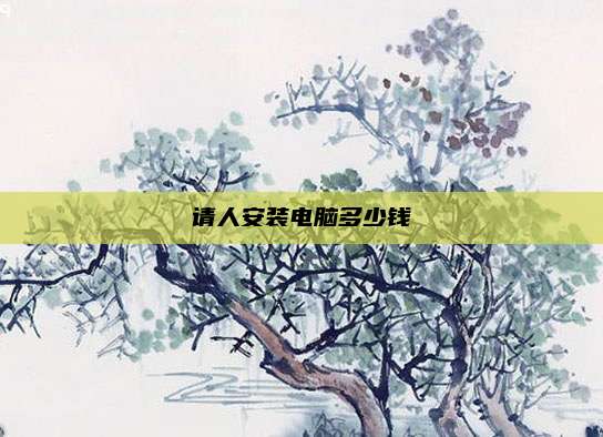 请人安装电脑多少钱