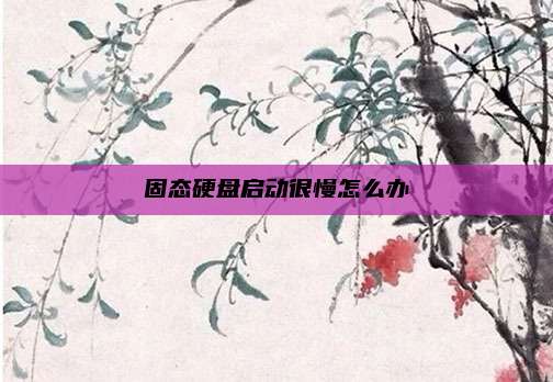 固态硬盘启动很慢怎么办