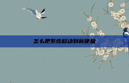 怎么把系统移动到新硬盘