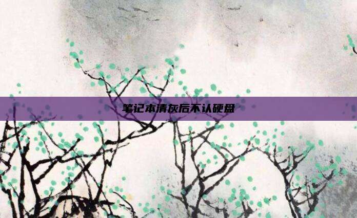 笔记本清灰后不认硬盘