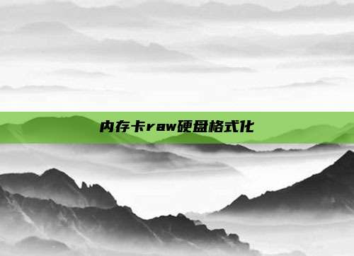 内存卡raw硬盘格式化