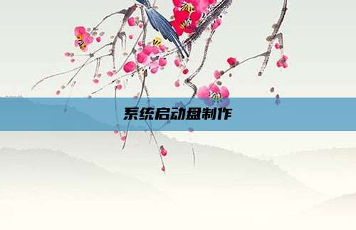 系统启动盘制作