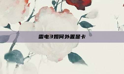 雷电3如何外置显卡