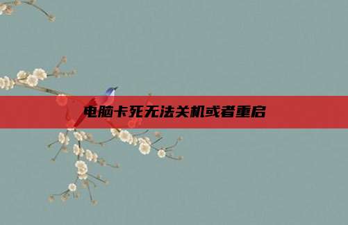 电脑卡死无法关机或者重启