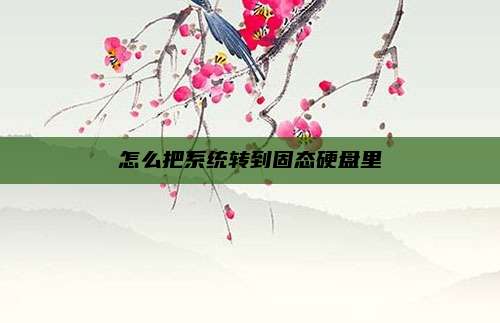 怎么把系统转到固态硬盘里