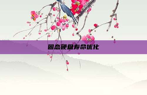 固态硬盘寿命优化