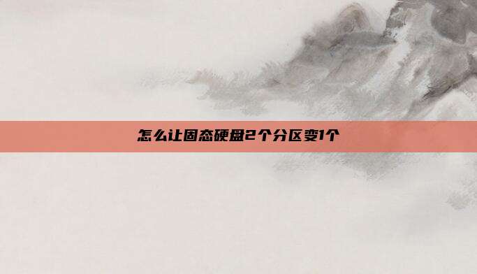 怎么让固态硬盘2个分区变1个