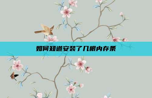 如何知道安装了几根内存条