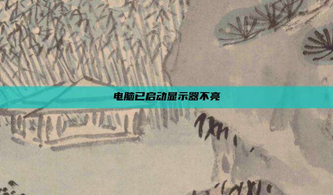 电脑已启动显示器不亮
