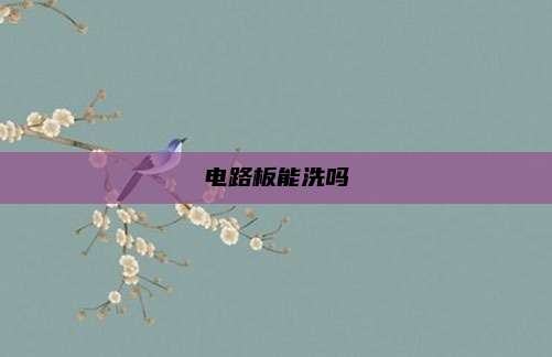 电路板能洗吗