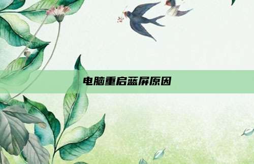电脑重启蓝屏原因