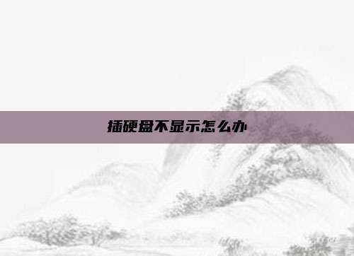 插硬盘不显示怎么办