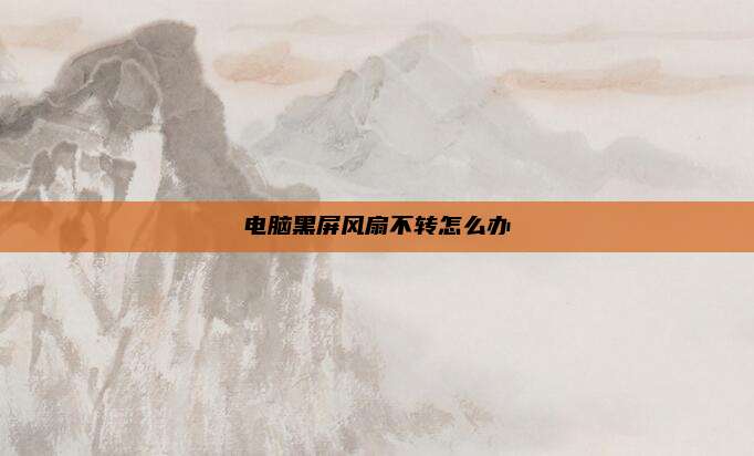 电脑黑屏风扇不转怎么办