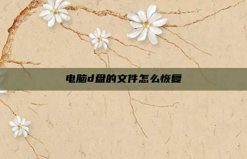 电脑d盘的文件怎么恢复