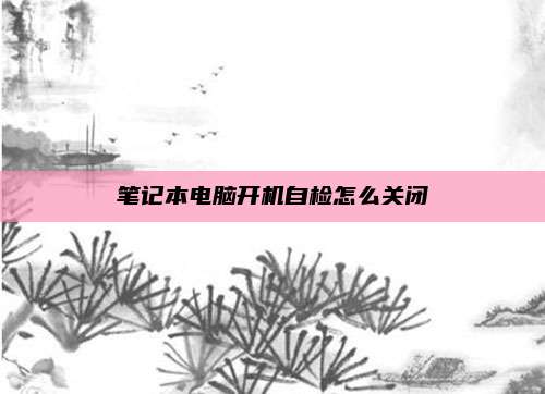 笔记本电脑开机自检怎么关闭