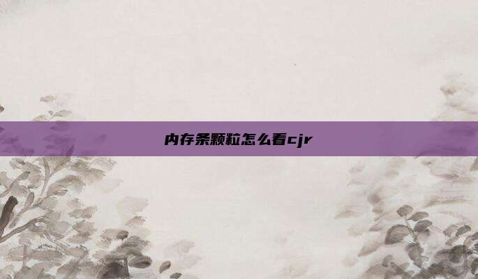内存条颗粒怎么看cjr