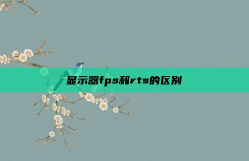 显示器fps和rts的区别