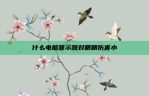 什么电脑显示器对眼睛伤害小