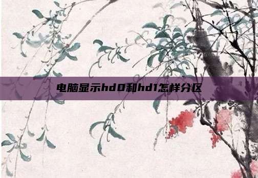 电脑显示hd0和hd1怎样分区