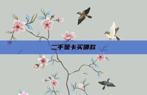 二手显卡买哪款