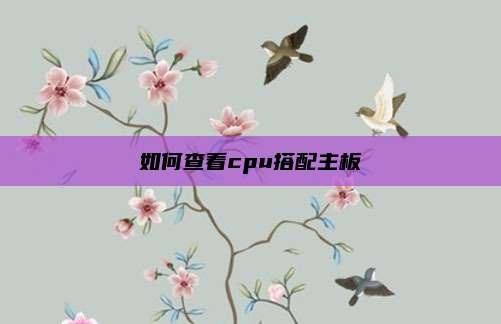 如何查看cpu搭配主板