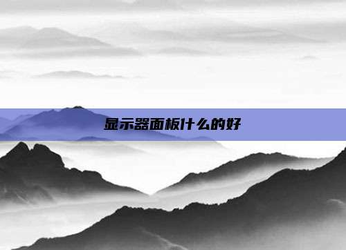 显示器面板什么的好