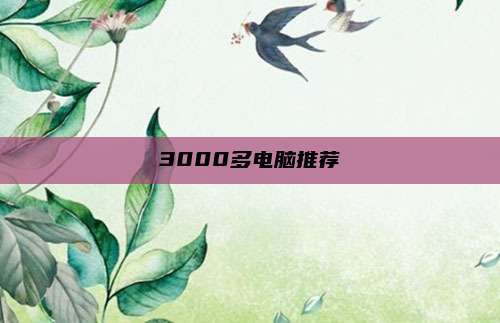 3000多电脑推荐