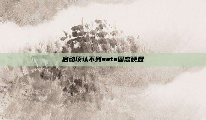 启动项认不到sata固态硬盘