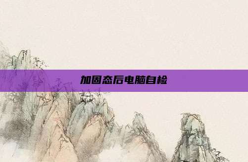 加固态后电脑自检