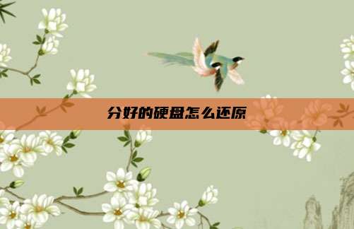 分好的硬盘怎么还原