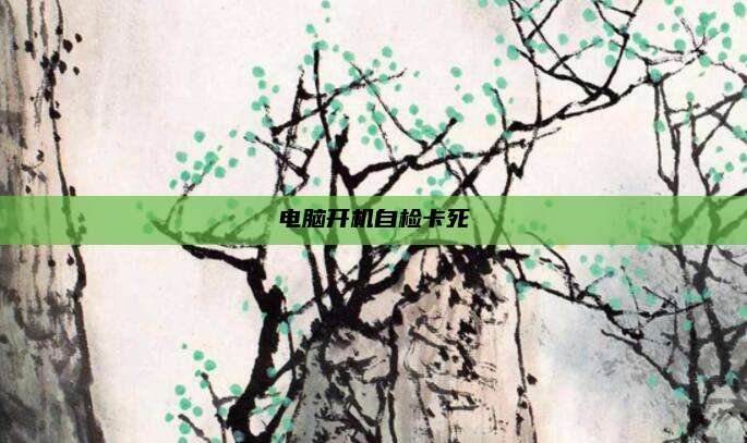 电脑开机自检卡死
