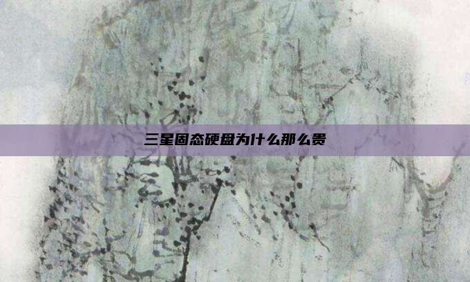 三星固态硬盘为什么那么贵