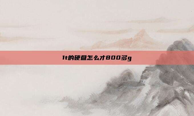 1t的硬盘怎么才800多g