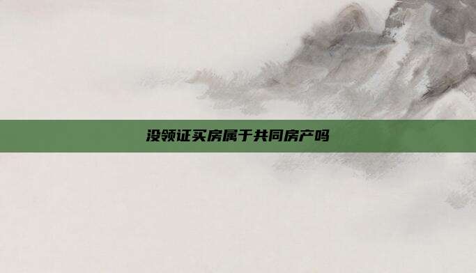 没领证买房属于共同房产吗