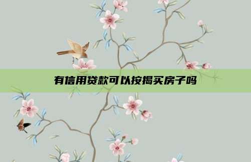 有信用贷款可以按揭买房子吗