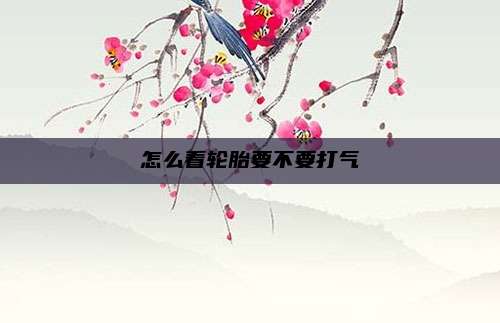 怎么看轮胎要不要打气